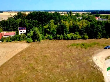 Działka budowlana Ogrodnica