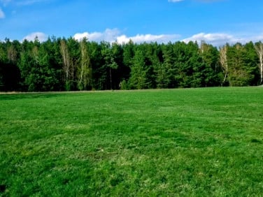 Działka inwestycyjna Cholerzyn