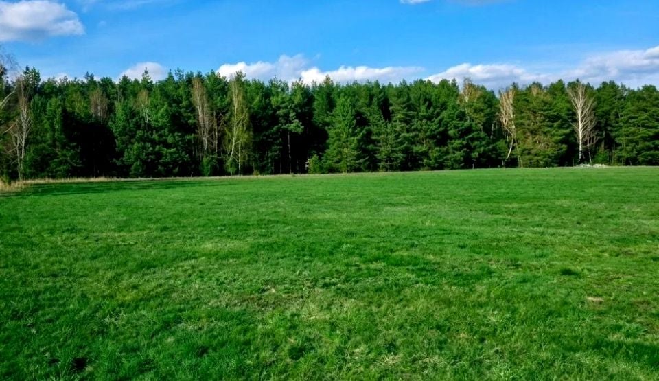 Działka inwestycyjna Cholerzyn