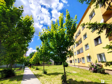 Mieszkanie Siemianowice Śląskie