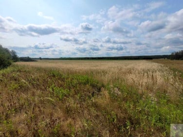 Działka inwestycyjna Krowica Hołodowska