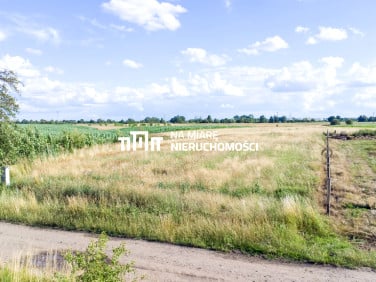 Działka budowlana Surochów