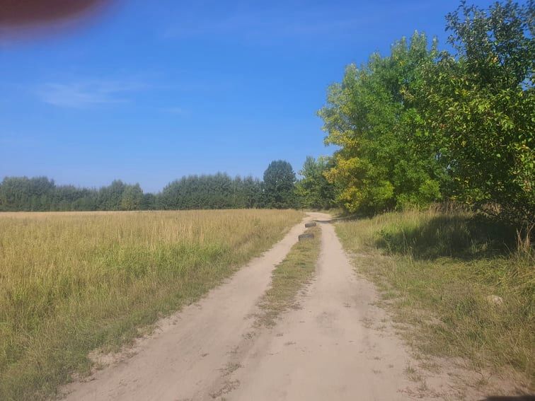 Zdjęcie 3
