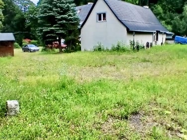 Dom Stare Bogaczowice