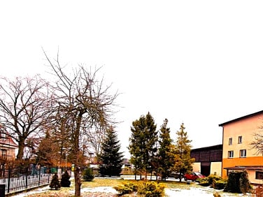 Dom Jezierzany