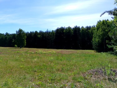 Działka Franciszków