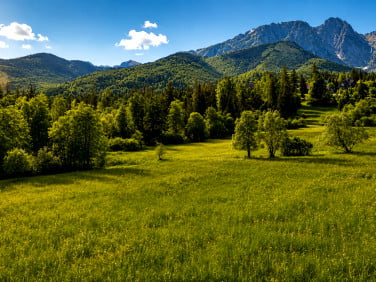 Działka rolna Zakopane