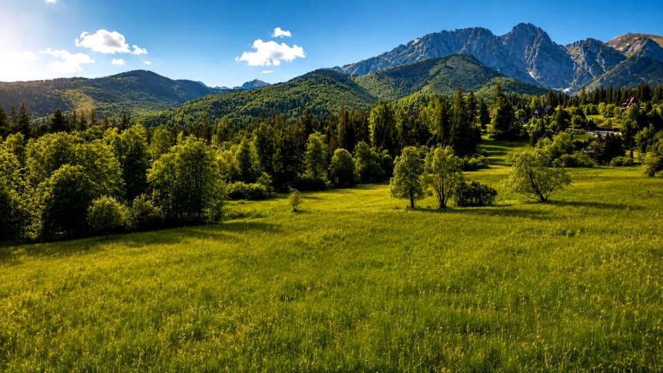 Działka rolna Zakopane
