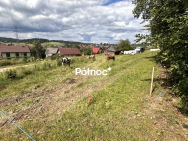 Działka Podwilk