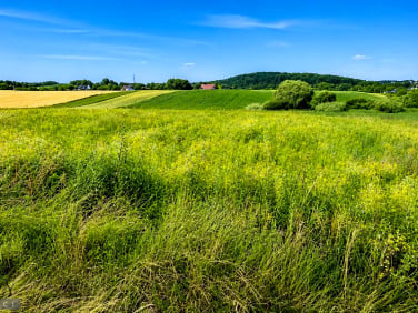 Działka Bibice