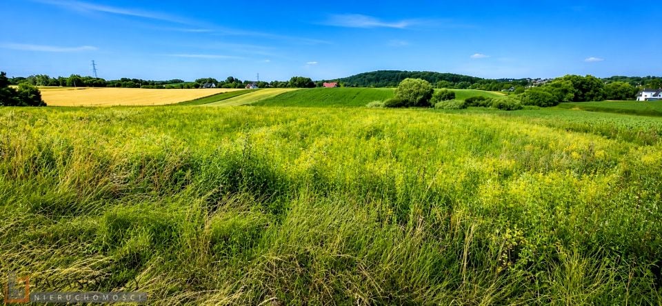 Działka Bibice