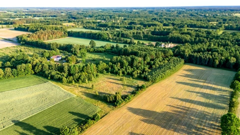 Działka inwestycyjna Boruja Nowa