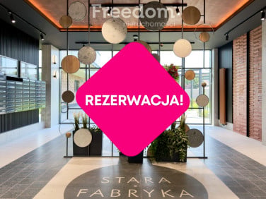 Mieszkanie Włocławek