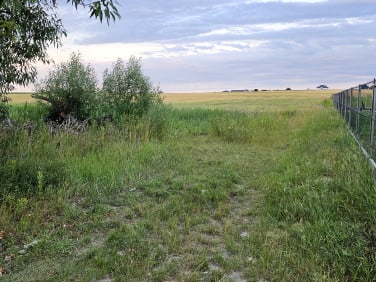 Działka budowlana Grębocin sprzedam