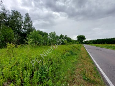 Działka budowlana Poświętne