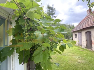 Dom Olbrachtów