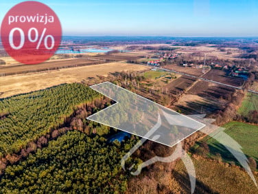 Działka leśna KUŹNICZYSKO