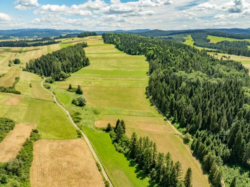 Działka rolna Niedzica