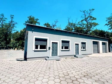Lokal Opole