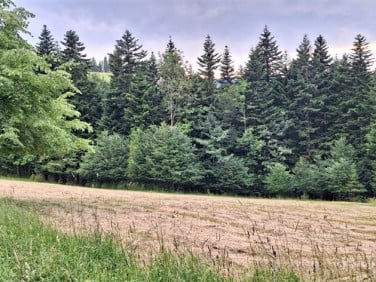 Działka budowlana Zawoja
