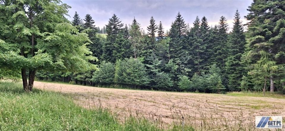 Działka budowlana Zawoja
