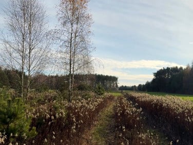 Działka budowlana Kruczy Borek