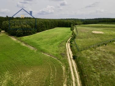Działka KĄCIKI
