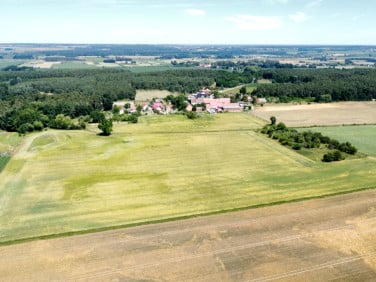 Działka inna Wąsosz