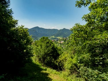 Działka rolna Szczawnica