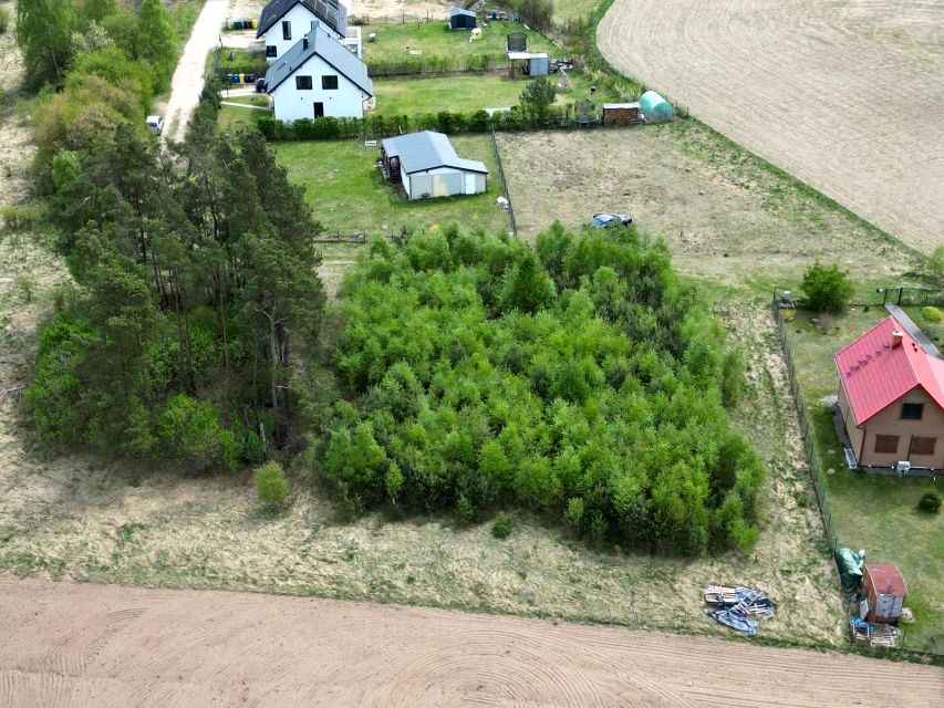 Zdjęcie 3