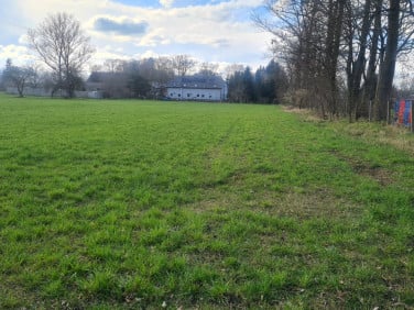 Działka rolna Wierzbięcin