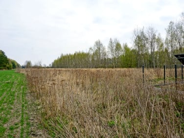 Działka budowlana Skierniewice