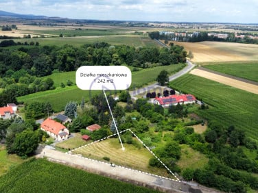 Działka Prusy
