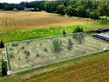 Działka Sypitki