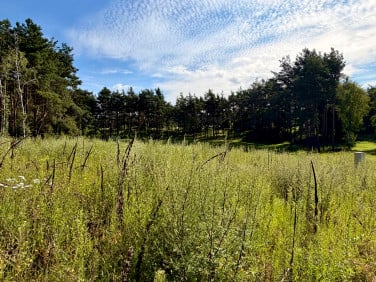 Działka Sulnówko