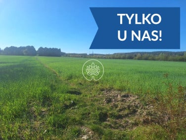 Działka budowlana Serock