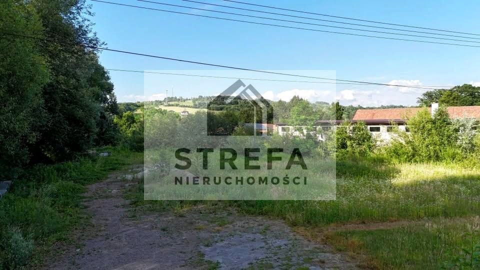 Zdjęcie 2