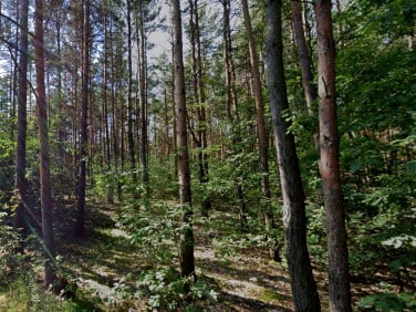 Działka budowlana Cybulice Małe