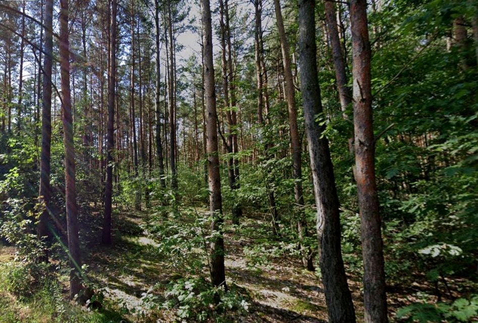 Działka budowlana Cybulice Małe