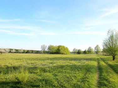 Działka budowlana Radwanówka