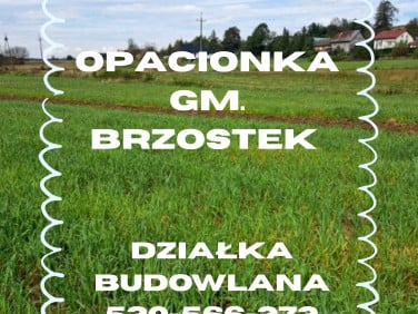 Działka budowlana Brzostek