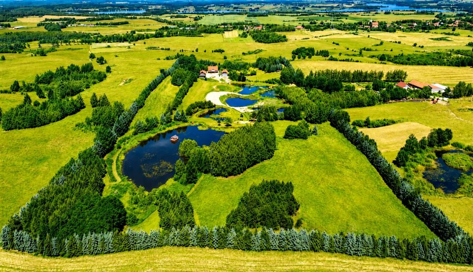 Dom wolnostojący sprzedaż