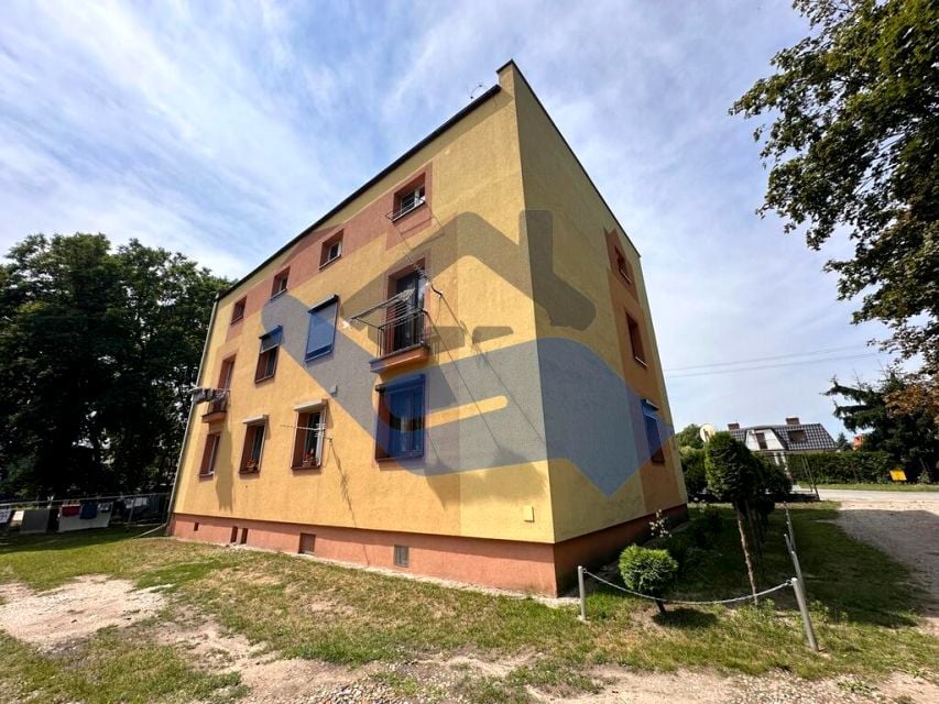 Mieszkanie Trzemeszno