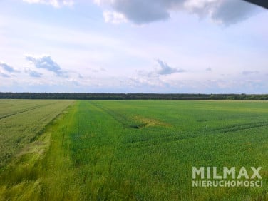 Działka Mieszkowice
