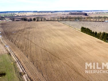 Działka Murowana Goślina