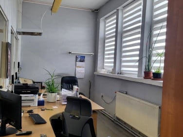Lokal Poznań