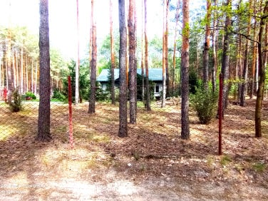Dom Dobczyn
