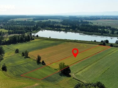Działka rolna Dankowice