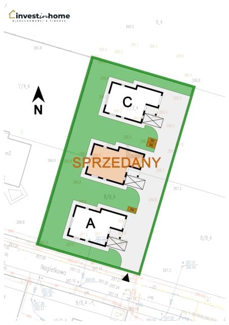 Zdjęcie 3