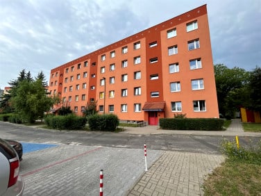 Mieszkanie Chojnów